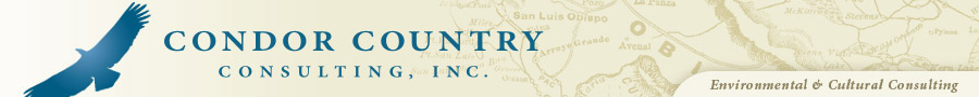 Condor Country Consulting